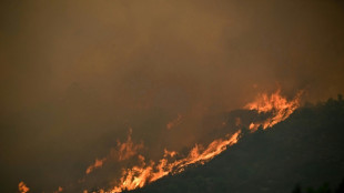 Climat: émissions de carbone record en Europe avec les incendies de l'été, selon Copernicus