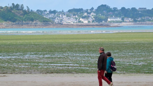 Algues vertes: l'&Eacute;tat somm&eacute; de renforcer son action contre les pollutions aux nitrates