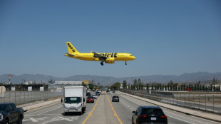 La compagnie am&eacute;ricaine Spirit Airlines annule tous ses vols et stoppe son activit&eacute;