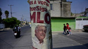 Le pr&eacute;sident doit-il rester ou partir ? Le Mexique vote aussi