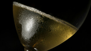 Bubble burst: French winemaker jailed for huge champagne fraud