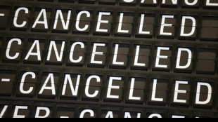 Longer flight delays without compensation? EU plan divides 