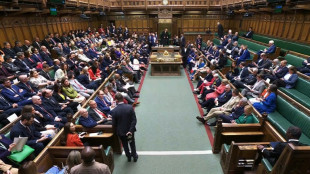 Britisches Parlament stimmt f&uuml;r Rettung von Stahlwerk von British Stell