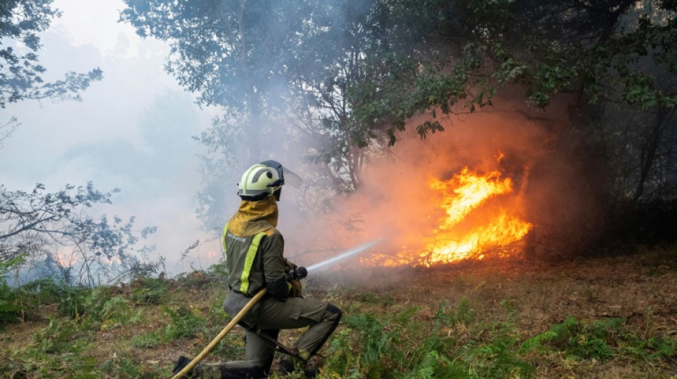 Bajo control el incendio que asol&oacute; una zona tur&iacute;stica del sur de Espa&ntilde;a