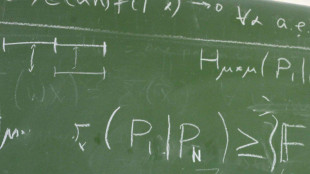 Mai così forti le matematiche italiane