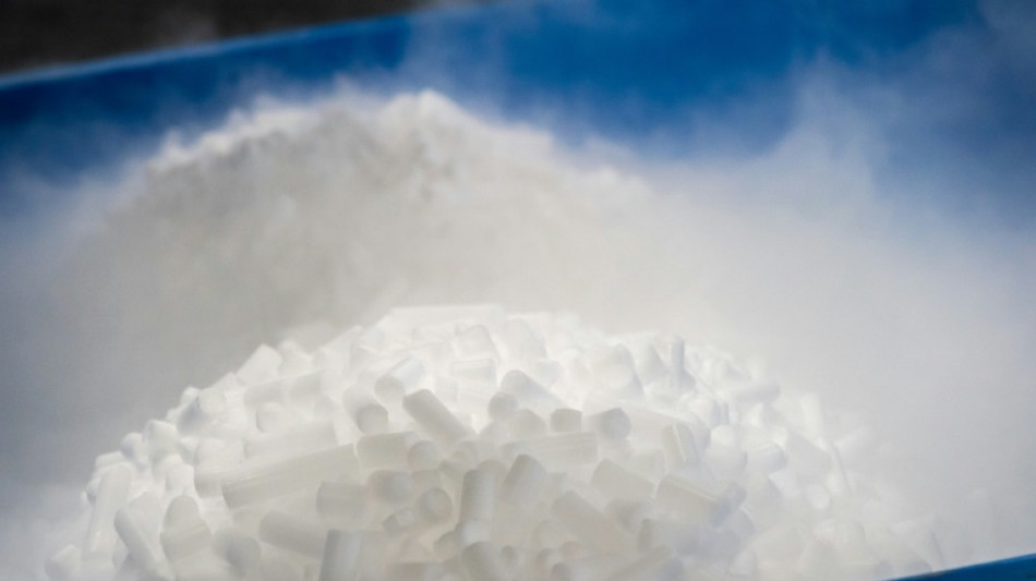 Vague de chaleur: carton plein pour les usines de gla&ccedil;ons 