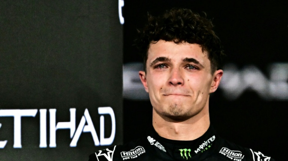 How Lando Norris won the F1 title 