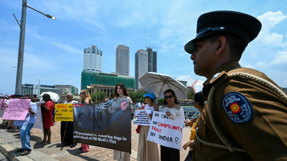 Sri Lanka's crackdown on dogs for India PM's visit sparks protest