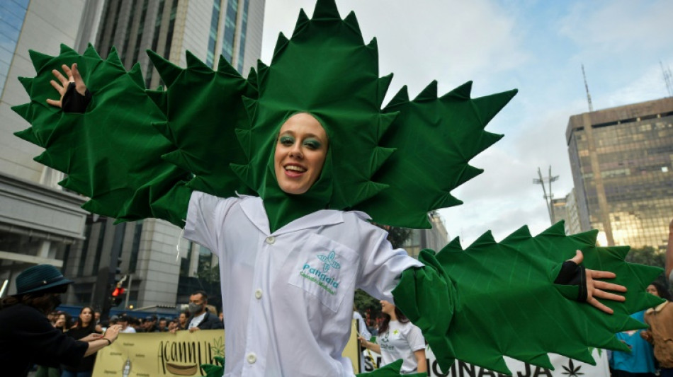 Br&eacute;sil: la Cour supr&ecirc;me autorise trois patients &agrave; cultiver du cannabis m&eacute;dicinal