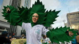 Br&eacute;sil: la Cour supr&ecirc;me autorise trois patients &agrave; cultiver du cannabis m&eacute;dicinal