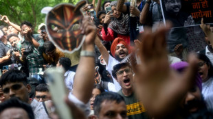En Inde, des centaines de personnes r&eacute;unies pour le premier rassemblement du "parti des cafards"
