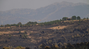 Mejora la situaci&oacute;n de los incendios en Espa&ntilde;a, Francia y Portugal