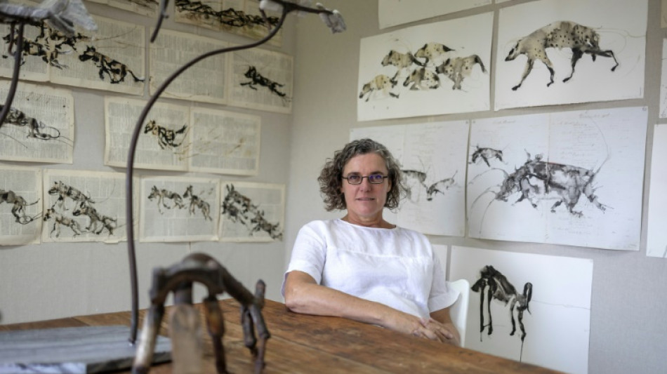 South African artist champions hyenas in 'eco-queer' quest