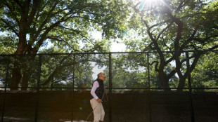 Marcher 8.000 pas une ou deux fois par semaine r&eacute;duit le risque de mortalit&eacute; (&eacute;tude)