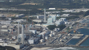 Fukushima: des robots d&eacute;ploy&eacute;s en vue du retrait des d&eacute;bris radioactifs