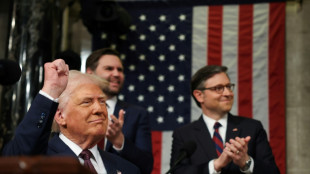 US House close to final vote on Trump tax bill