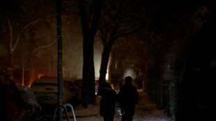 Germany offers 1 mn euro reward for Berlin blackout culprits