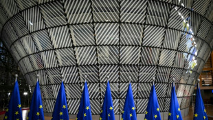 Bruxelles pr&eacute;sente ses propositions pour faire passer la "pilule" de l'&eacute;largissement