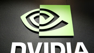 Aktien von US-Chiphersteller Nvidia verlieren trotz Rekordverk&auml;ufen an Wert