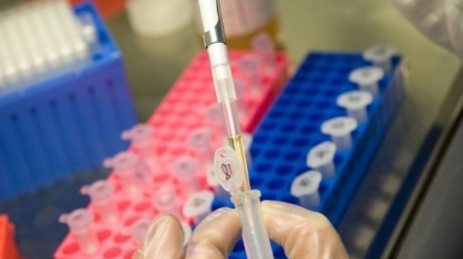 Organoidi di vasi sanguigni, sul cuore come cerotti