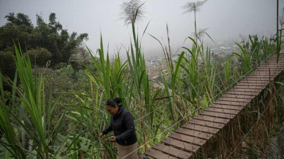 Indígena tinge o deserto de Lima de verde com uma 'selva escondida'