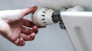 Untersuchung: Fehlender Klimaschutz kann für Deutschland teuer werden