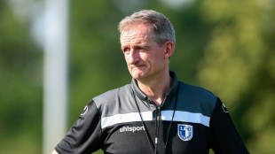 Sander über Verbleib als Magdeburg-Coach: "Keine Ahnung"