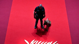 Cannes to unveil film selection under pressure over industry abuse