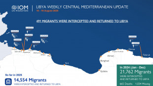 Oim, '400 morti e 318 dispersi nel Med centrale nel 2025'