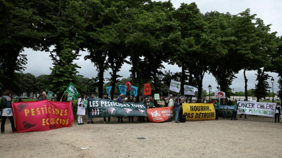 "Pas tous" pour la loi "Duplomb": des paysans et militants manifestent à Paris