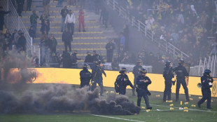 Ligue 1: Nantes-Toulouse d&eacute;finitivement interrompu apr&egrave;s un envahissement de terrain (officiel)