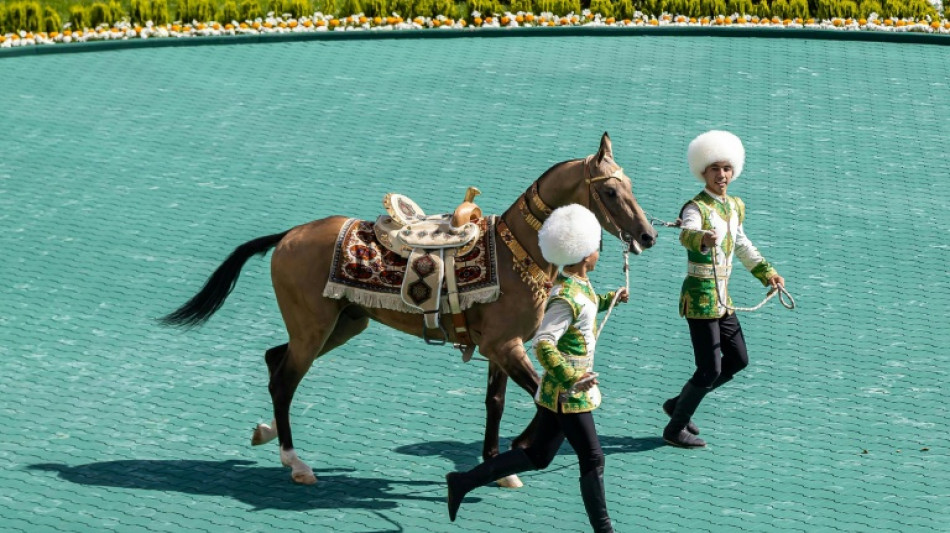 Au Turkm&eacute;nistan, des chevaux "c&eacute;lestes" v&eacute;n&eacute;r&eacute;s par le pouvoir