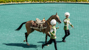 Au Turkm&eacute;nistan, des chevaux "c&eacute;lestes" v&eacute;n&eacute;r&eacute;s par le pouvoir