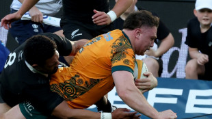 Wallabies release Reds pair Faessler and Paisami for Lions clash