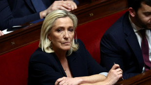 Après la condamnation de Le Pen, un dimanche très politique à Paris
