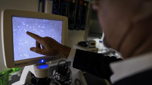 Nyt, 'scienziati usano l'IA per creare nuovi virus, &egrave; la prima volta'