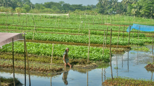 Des histoires humaines de la crise climatique r&eacute;compens&eacute;es par une ONG sp&eacute;cialis&eacute;e