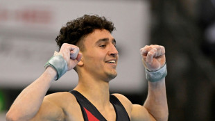 Kunstturn-EM in Antalya: Bronze am Boden f&uuml;r Hosseini