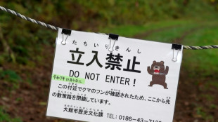 Japan bear victim's watch shows last movements