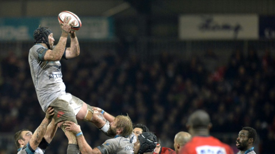 Wallabies hire New Zealand's Donnelly to help Schmidt