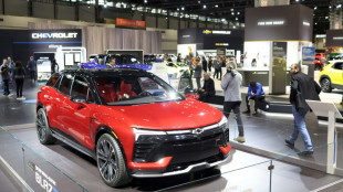 Latest GM investments in US in line with slowing EV demand: exec