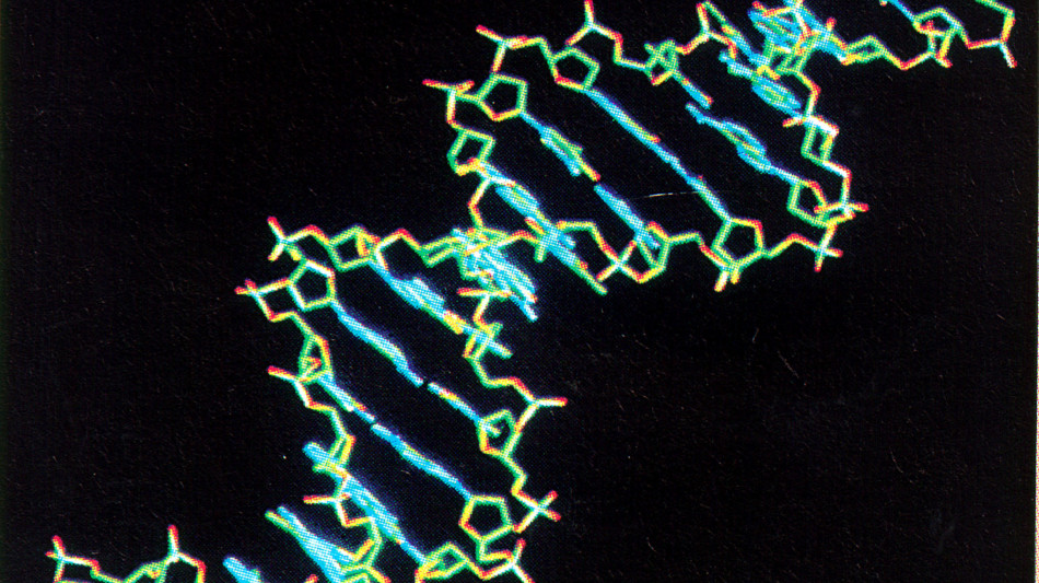 Malattie rare, con studio Telethon arriva diagnosi in bambini dopo 8 anni di attesa