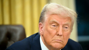 Trump diz que 'dor' provocada pelas tarifas 'valer&aacute; a pena'