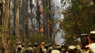 Equateur: la capitale Quito en "&eacute;tat d'urgence" face &agrave; 27 incendies de for&ecirc;ts
