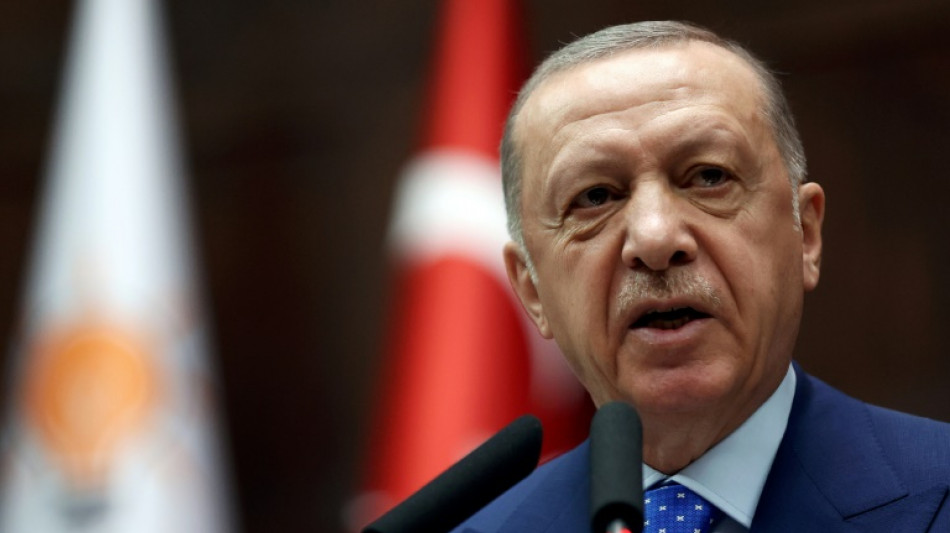 Erdogan, "decidido" a bloquear la adhesión de Suecia y Finlandia a la OTAN