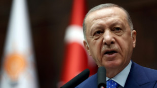Erdogan, "decidido" a bloquear la adhesión de Suecia y Finlandia a la OTAN