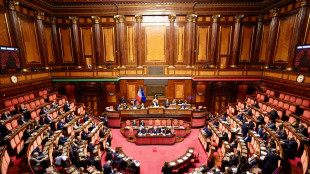 Ok definitivo al Senato al decreto Ucraina con la fiducia