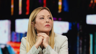 Meloni, 'nel Piano Mattei oltre 70 progetti, risultati tangibili'