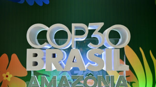A um mês da COP30, Lula ostenta balanço positivo em matéria climática