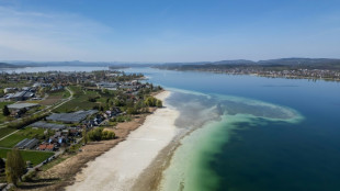 Polizei am Bodensee meldet Millionenbetr&uuml;gereien mit falschen Anlagem&ouml;glichkeiten